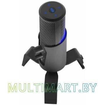 Микрофон Ritmix RDM-290 USB Eloquence картинка 4